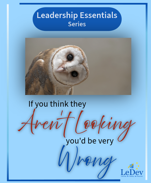 The Nuances of Leadership Article